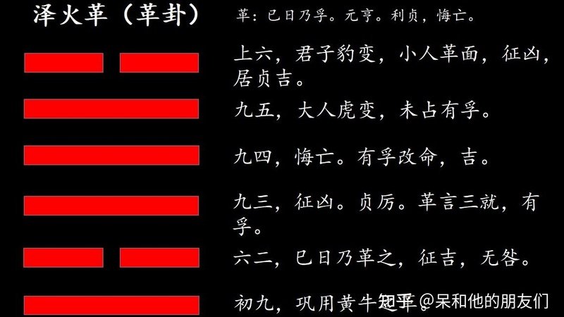 革卦と投資戦略の適時調整
