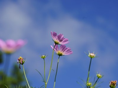 乾坤二卦：天地の始まり、万物の母